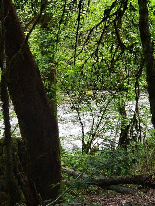 Grayback Campground Picture 10