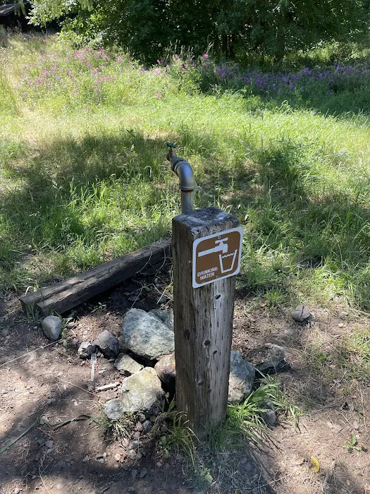 Chinquapin Group Campground Picture 2