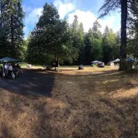 Chinquapin Group Campground ico