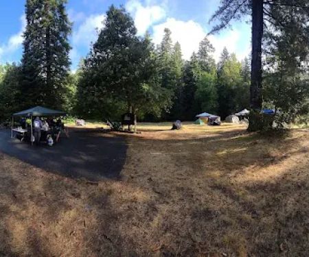 Chinquapin Group Campground