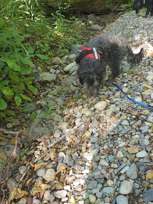 Chinquapin Group Campground Picture 9