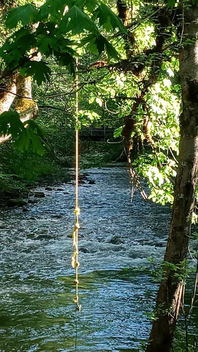 Chinquapin Group Campground Picture 5