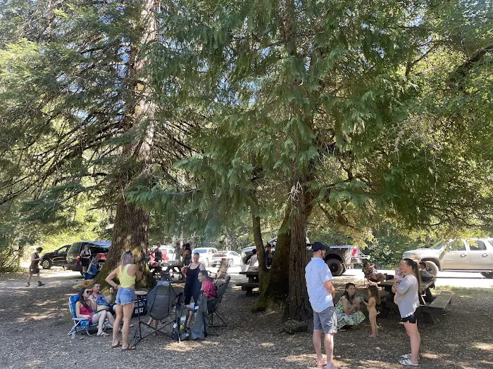 Chinquapin Group Campground Picture 6