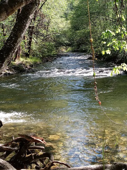 Chinquapin Group Campground Picture 7