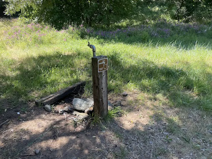 Chinquapin Group Campground Picture 4