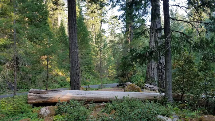 Cave Creek Campground Picture 10