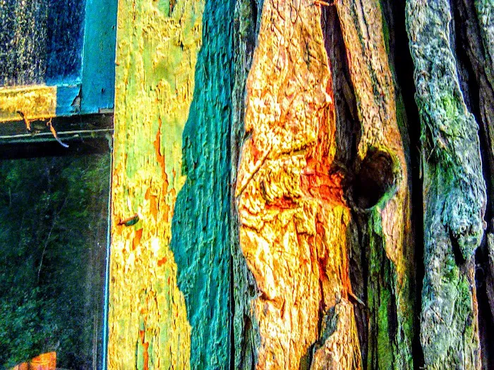 Cave Creek Campground Picture 8