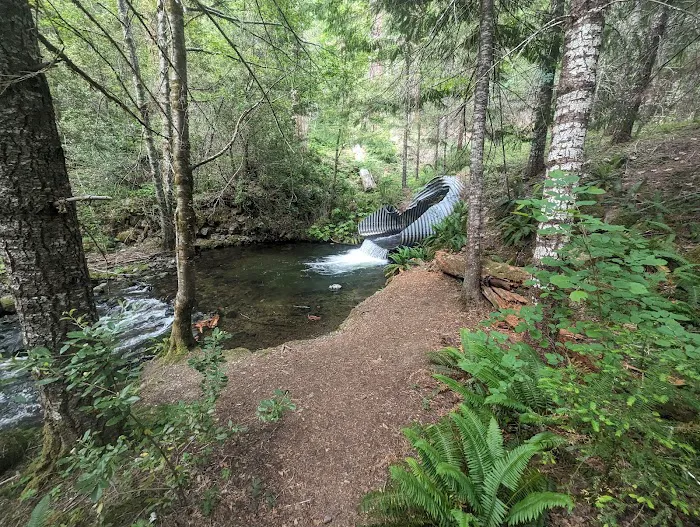 Cave Creek Campground Picture 1