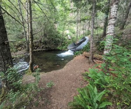 Cave Creek Campground