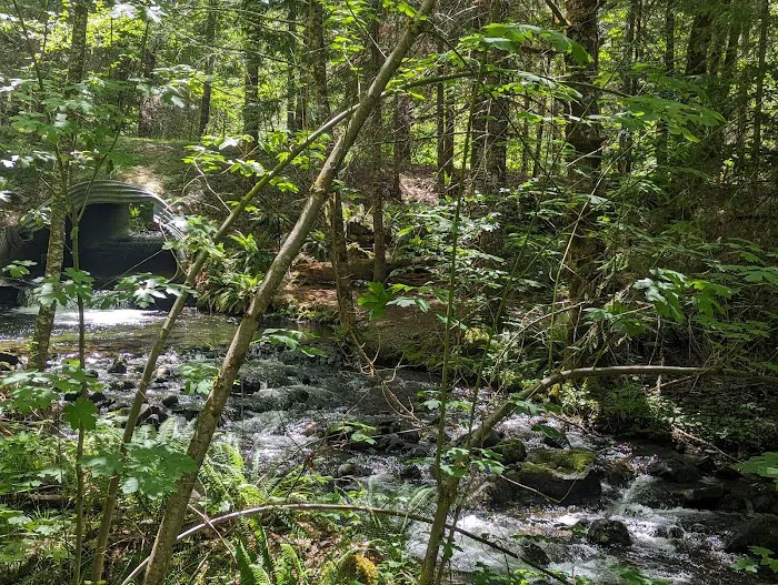 Cave Creek Campground Picture 2