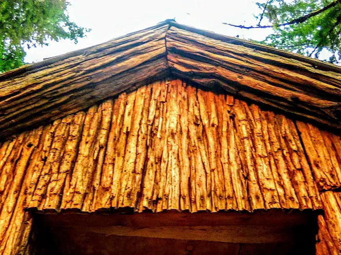 Cave Creek Campground Picture 3