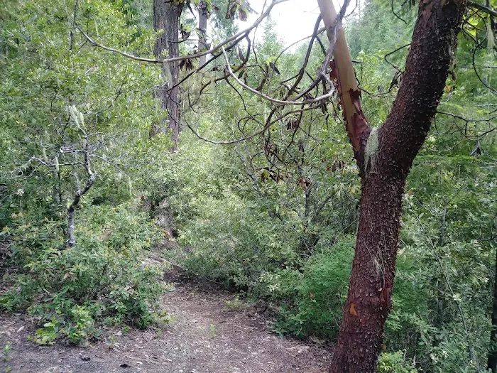 Caves Creek Campground Picture 2