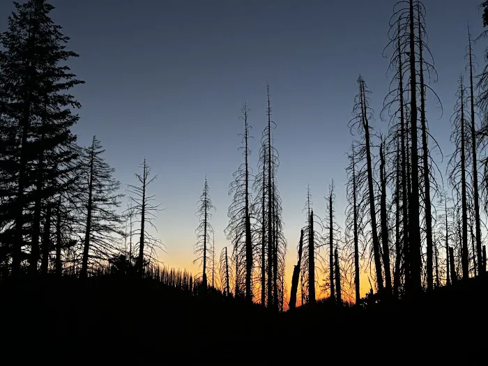 Bolan Lake Campground Picture 3