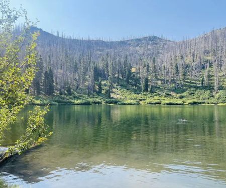 Bolan Lake Campground