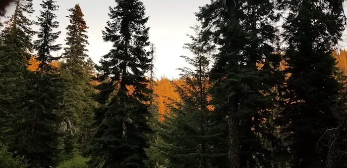 Bolan Lake Campground Picture 5