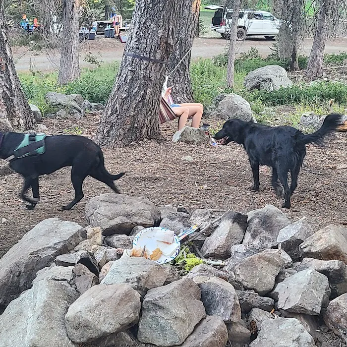 Bolan Lake Campground Picture 8