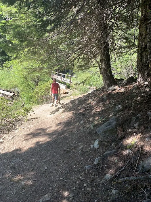 Bolan Lake Campground Picture 10