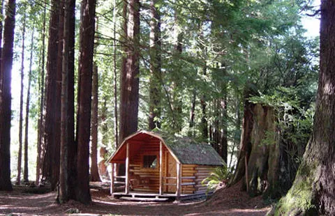 Crescent City / Redwoods KOA Holiday Picture 5