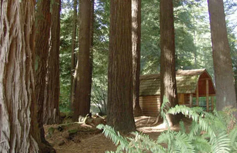 Crescent City / Redwoods KOA Holiday Picture 4