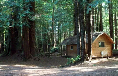 Crescent City / Redwoods KOA Holiday Picture 7