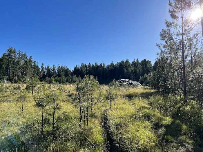 Free Your Mind Camping Picture 1