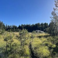 Free Your Mind Camping ico