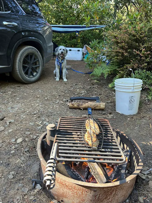 Free Your Mind Camping Picture 3