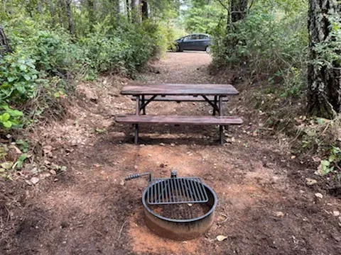 Free Your Mind Camping Picture 7