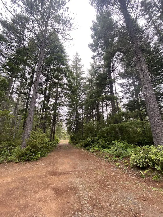 Free Your Mind Camping Picture 9