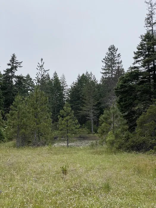 Free Your Mind Camping Picture 5
