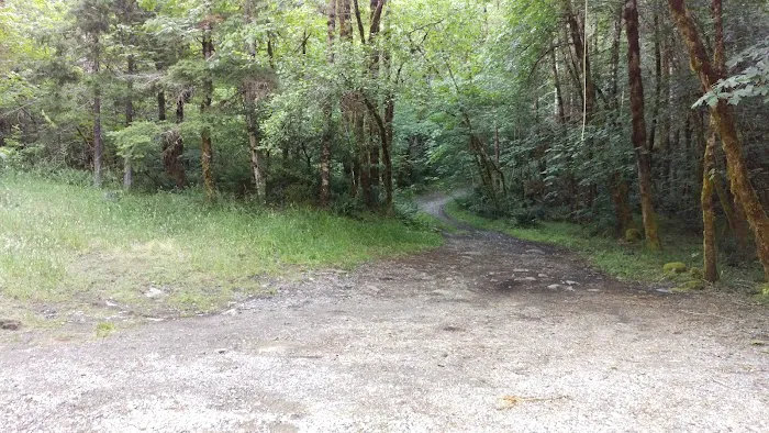 Dispersed Camping Patrick Creek Picture 7