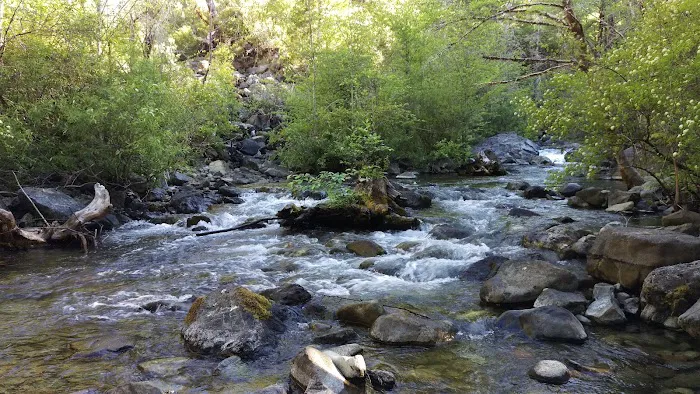 Dispersed Camping Patrick Creek Picture 6