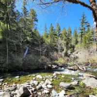 Dispersed Camping Patrick Creek ico
