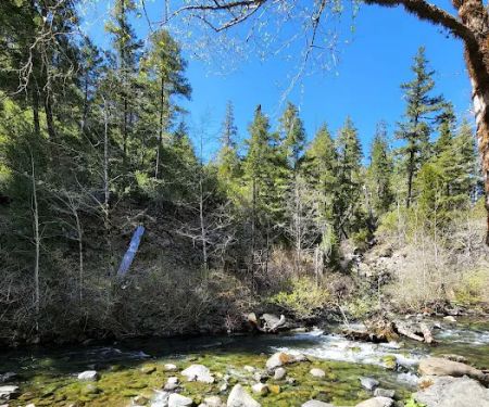 Dispersed Camping Patrick Creek