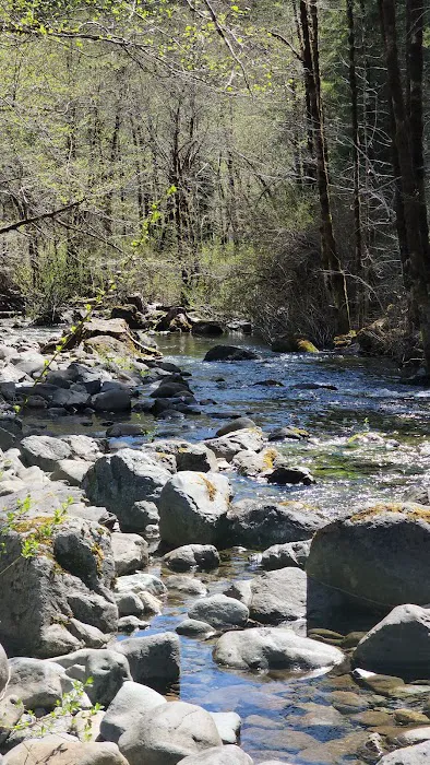 Dispersed Camping Patrick Creek Picture 3