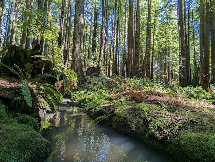 Florence Keller County Park & Campground Picture 3