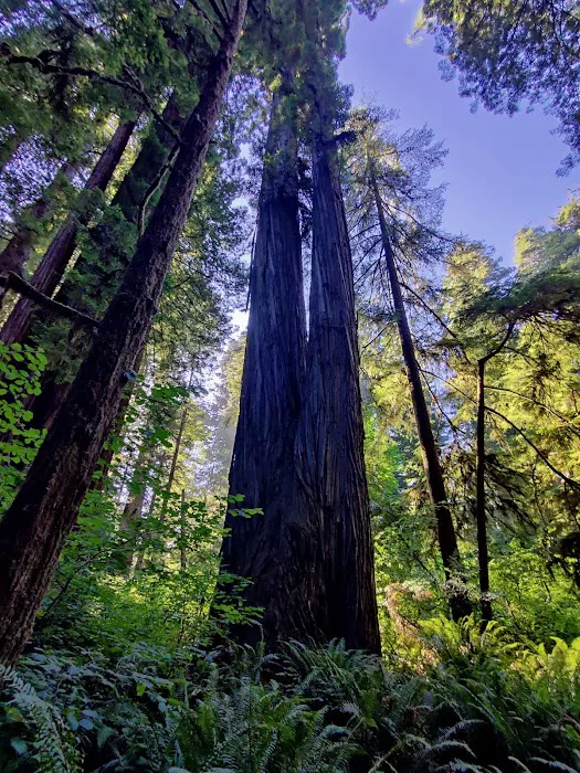 Florence Keller County Park & Campground Picture 2