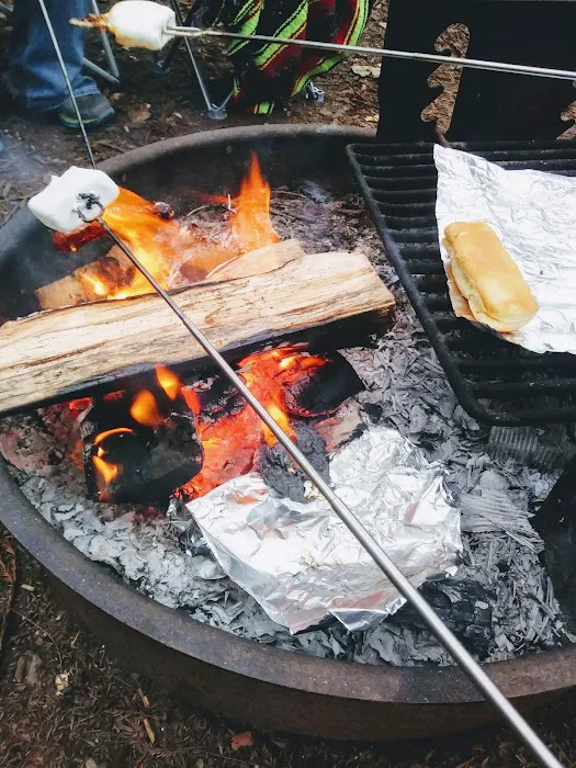 Florence Keller County Park & Campground Picture 10