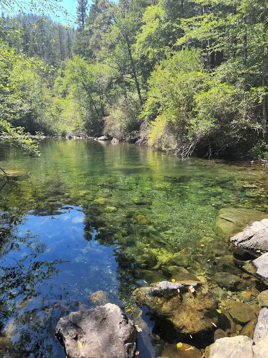 Shelly Creek Campground Picture 5