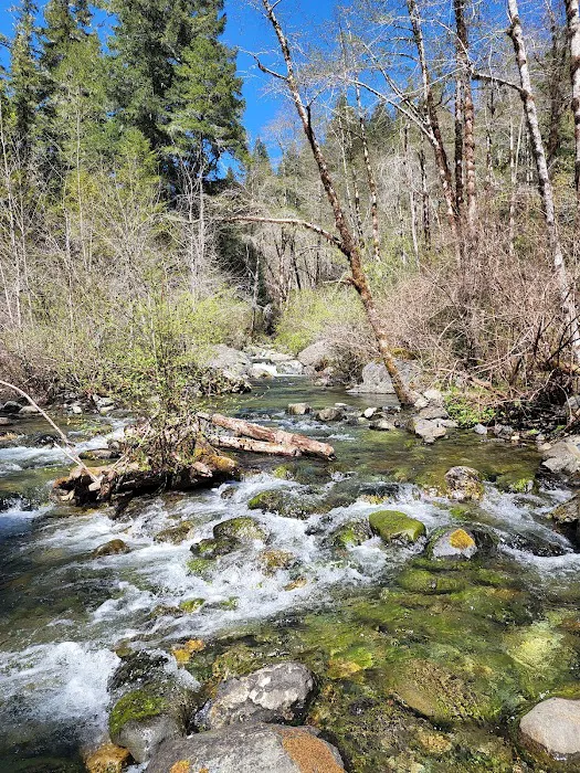 Shelly Creek Campground Picture 2
