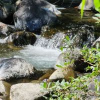 Shelly Creek Campground ico
