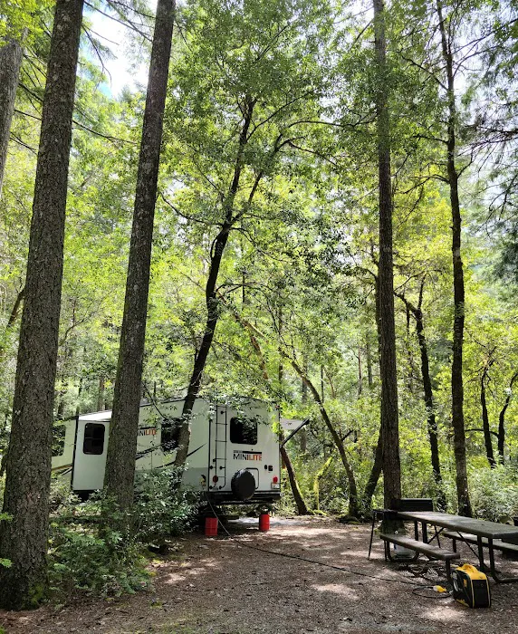 Panther Flat Campground Picture 4