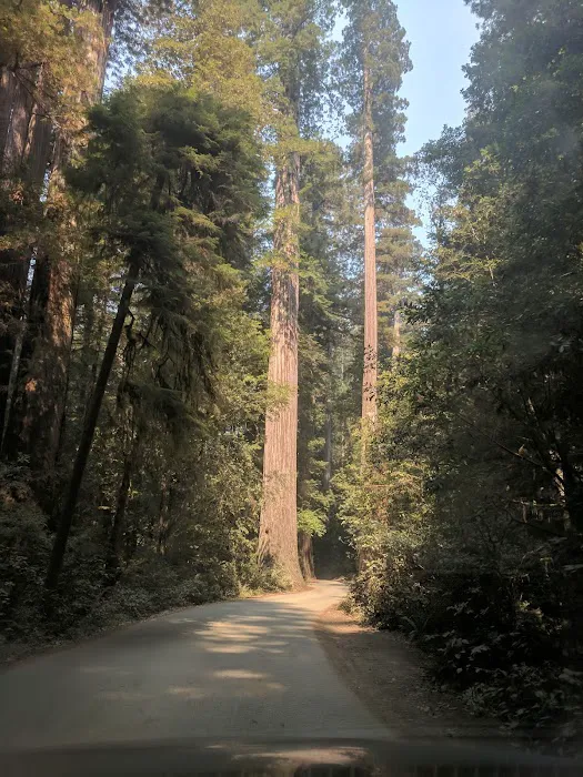 Panther Flat Campground Picture 10
