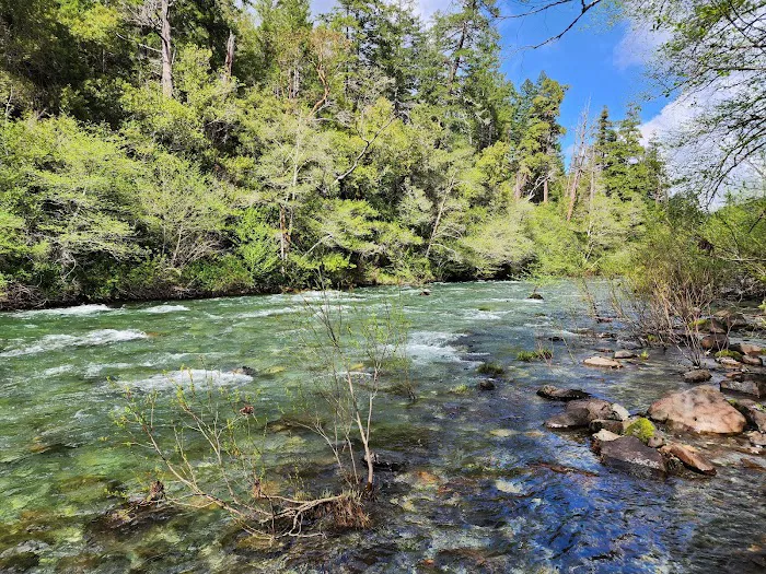 Panther Flat Campground Picture 3