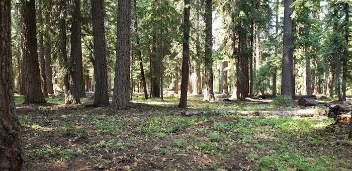 Surveyor Recreation Site Picture 5