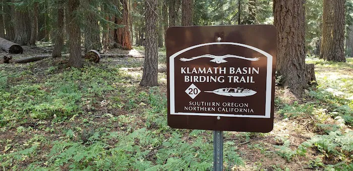 Surveyor Recreation Site Picture 2