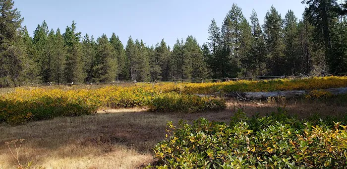 Surveyor Recreation Site Picture 6