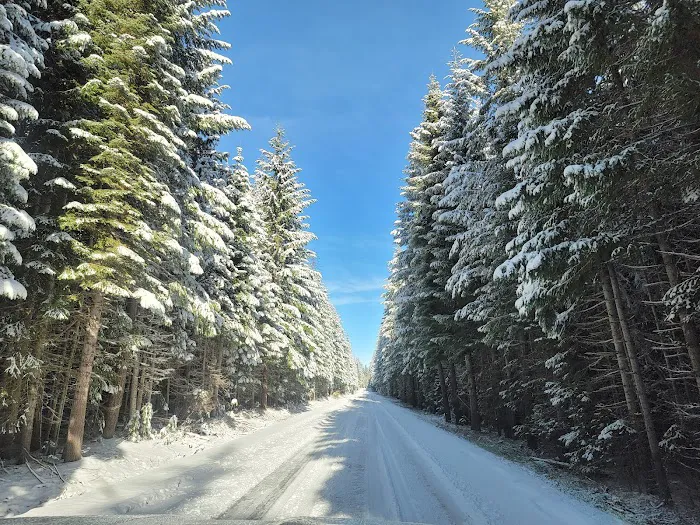 Surveyor Recreation Site Picture 10