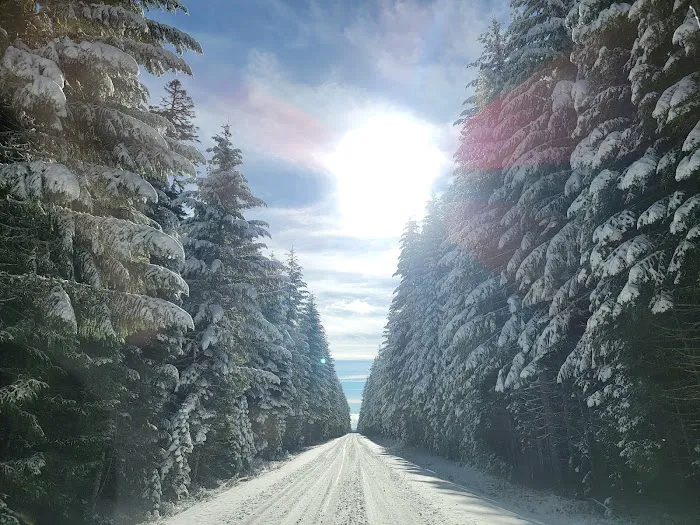 Surveyor Recreation Site Picture 8