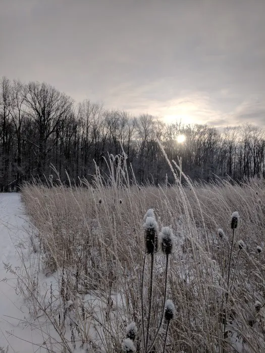 Saline Meadows Picture 6